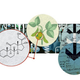 Percy Lavon Julian Google doodle
Google